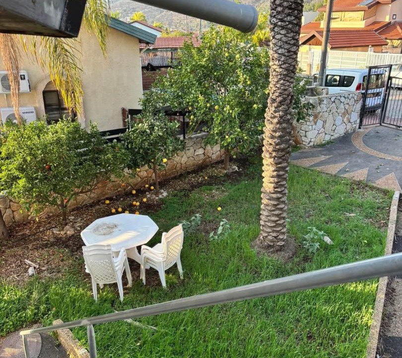 Photo of Others in Shlomi