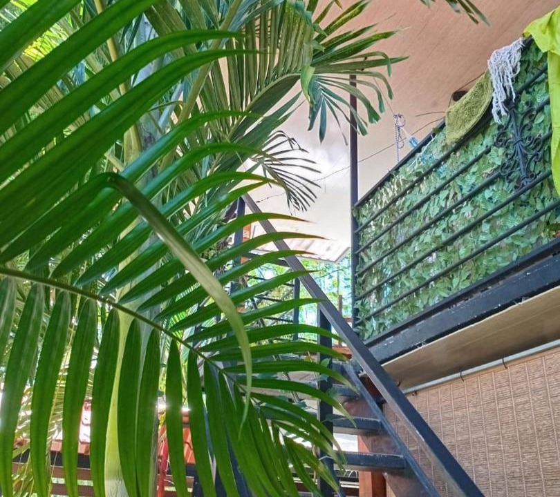 Photo of Others in Pacuare Reserve