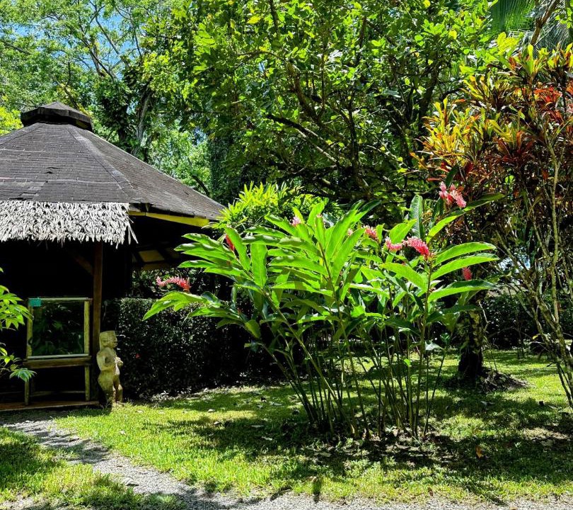 Photo of Others in Cahuita