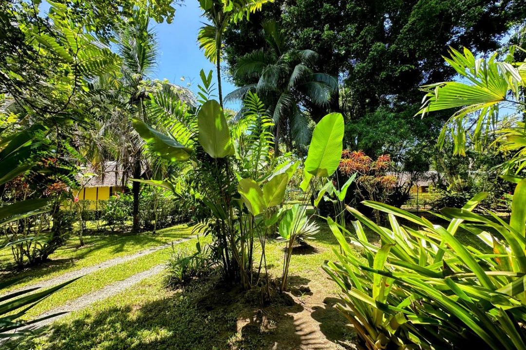 Photo of Outdoor in Cahuita