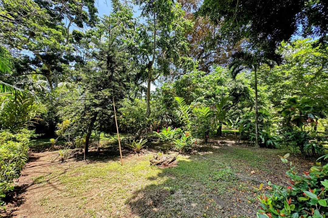 Photo of Outdoor in Cahuita