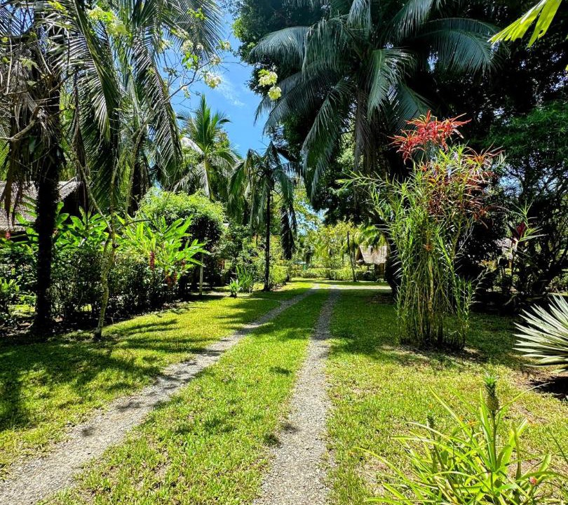 Photo of Outdoor in Cahuita