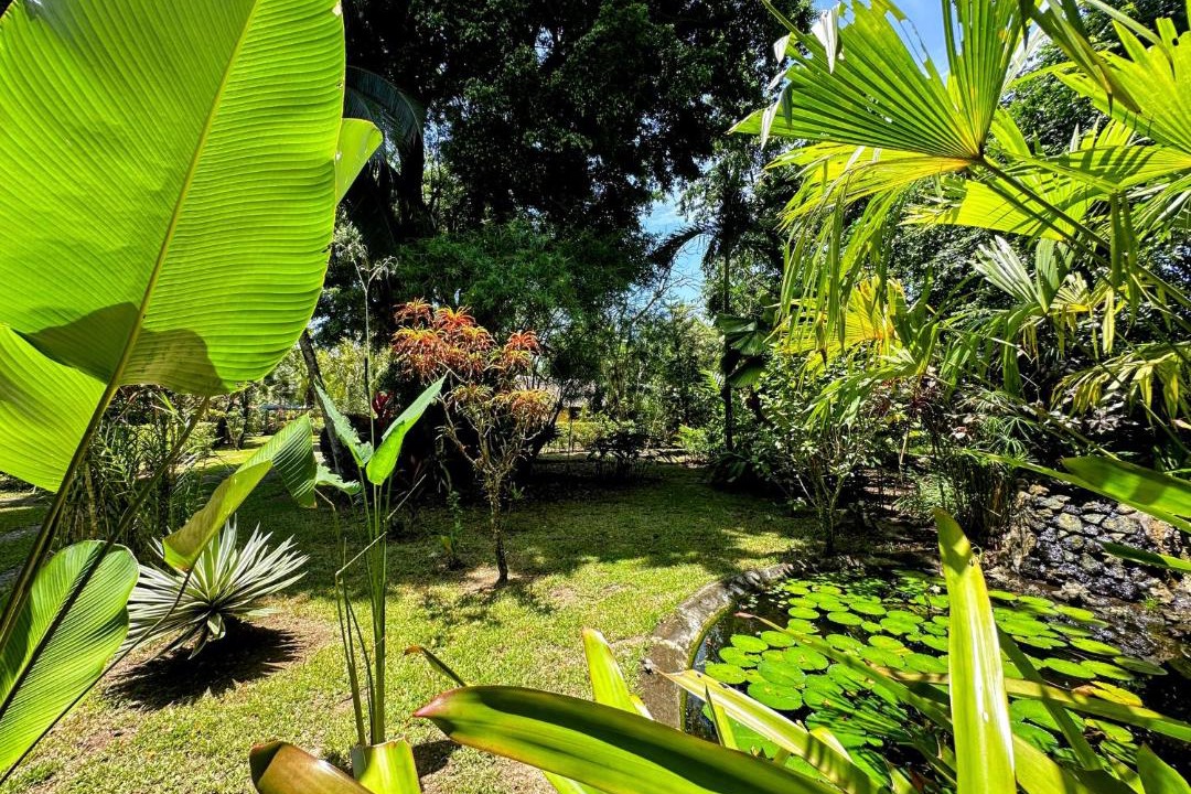 Photo of Others in Cahuita