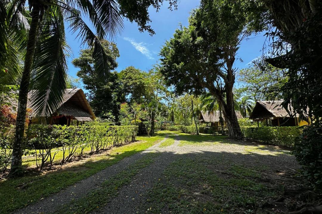 Photo of Others in Cahuita