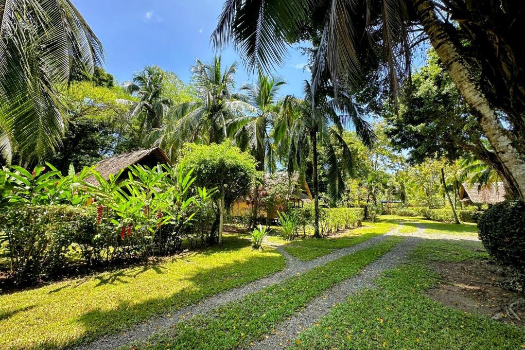 Photo of Others in Cahuita
