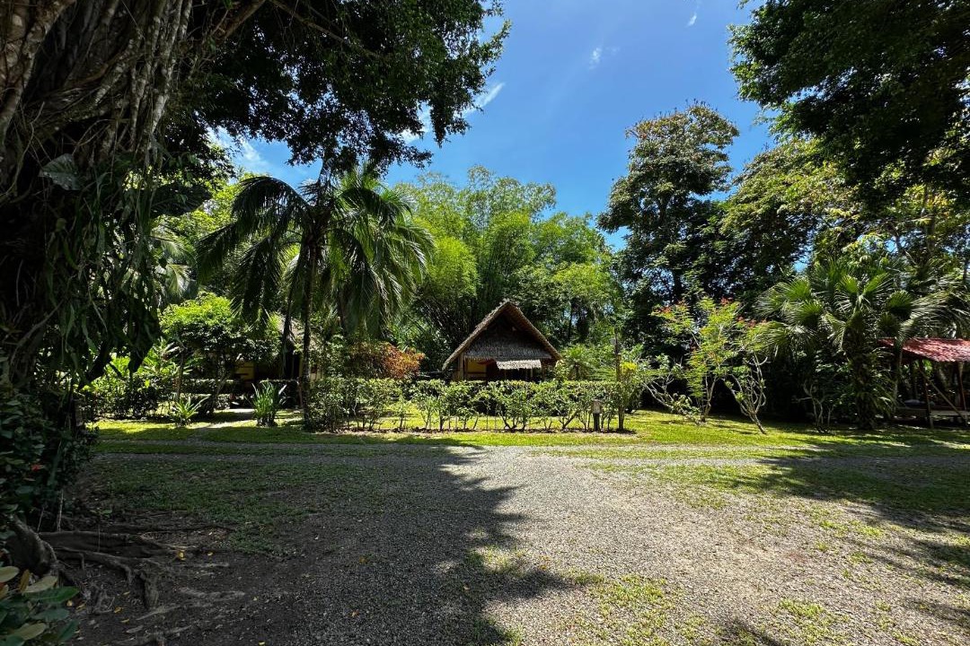 Photo of Others in Cahuita