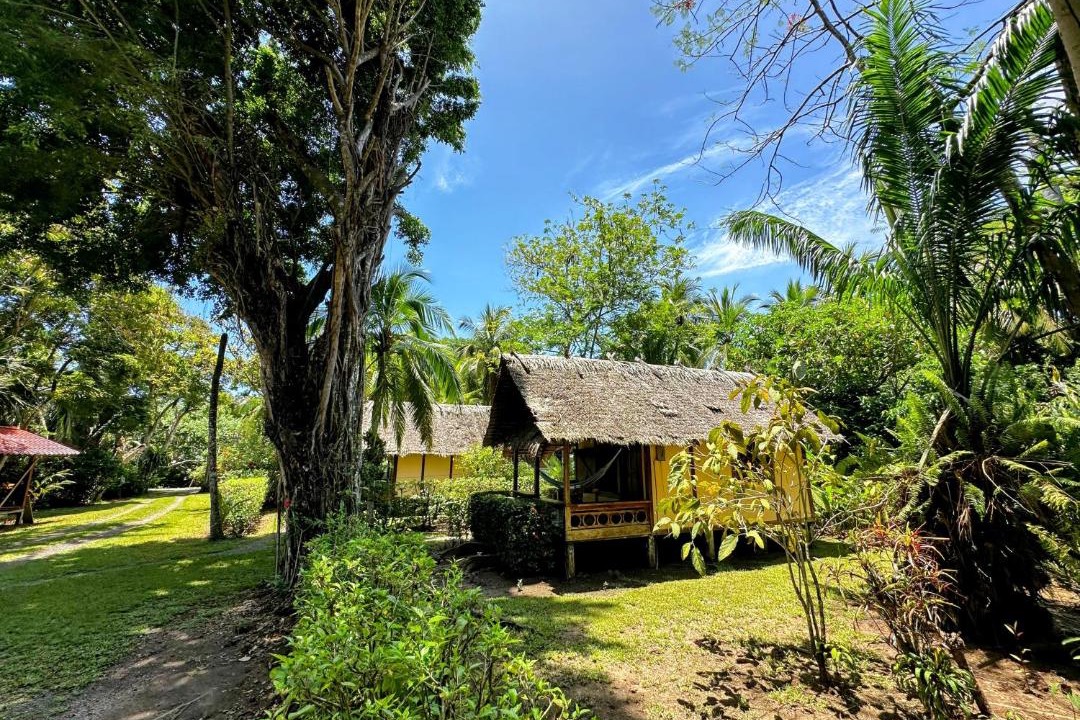Photo of Others in Cahuita