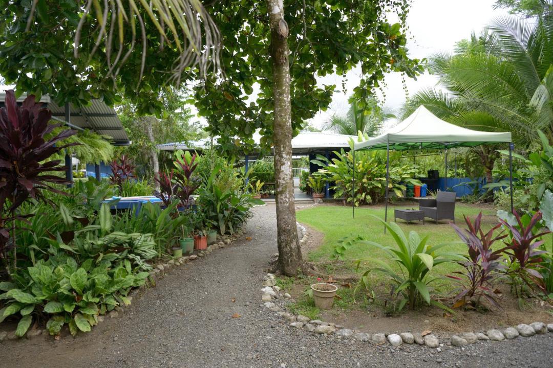 Photo of Others in Puerto Jimenez