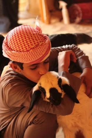 Photo of Human In Picture in Wadi Rum