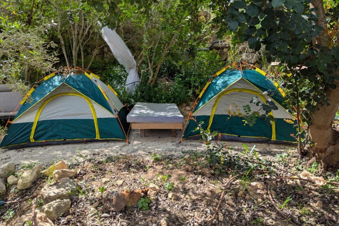 Photo of Outdoor in Daliyat al-Karmel