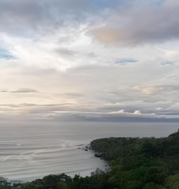 Photo of Others in Cabo Matapalo