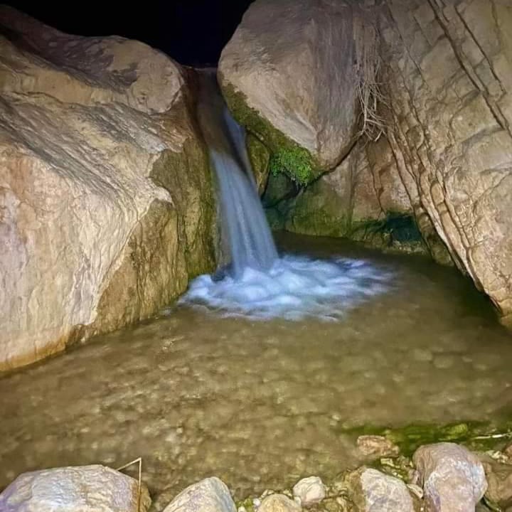 Photo of Others in Dana