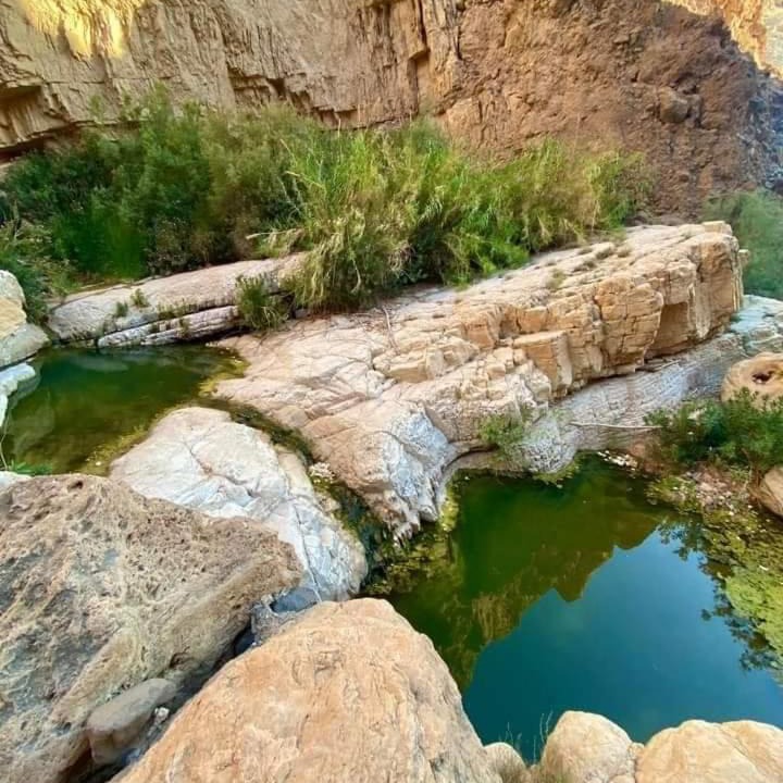Photo of Others in Dana