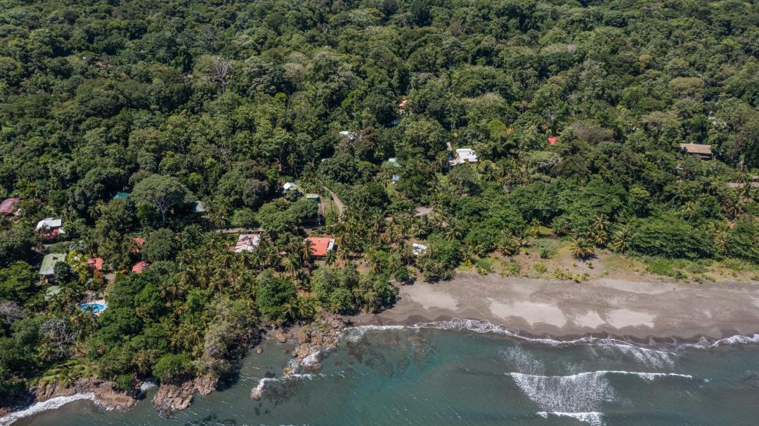 Photo of Others in Cahuita