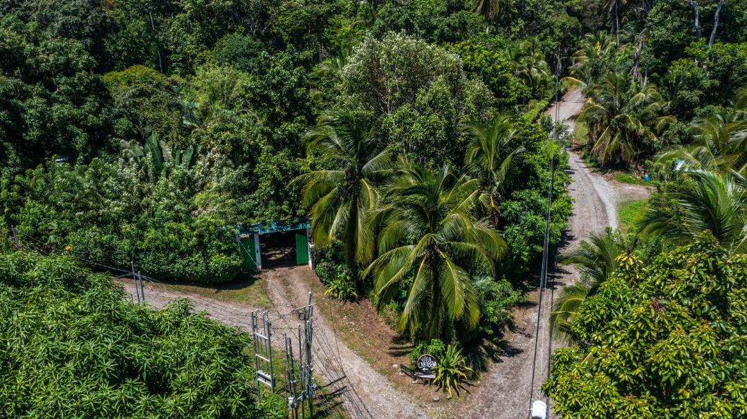 Photo of Others in Cahuita