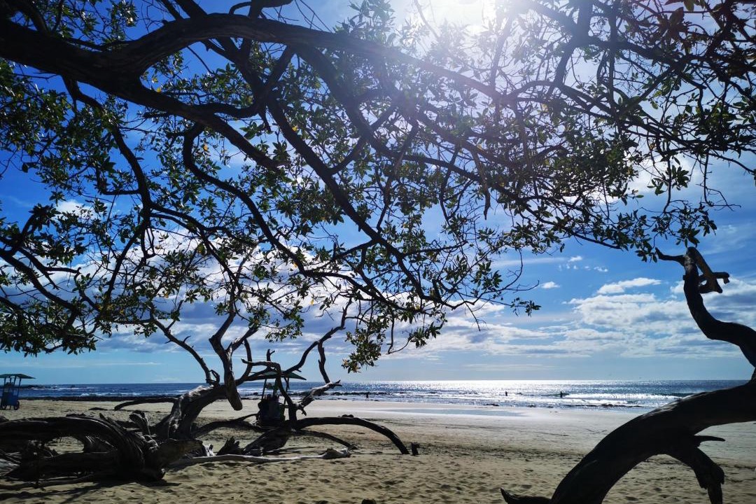 Photo of Others in Playa Ocotal