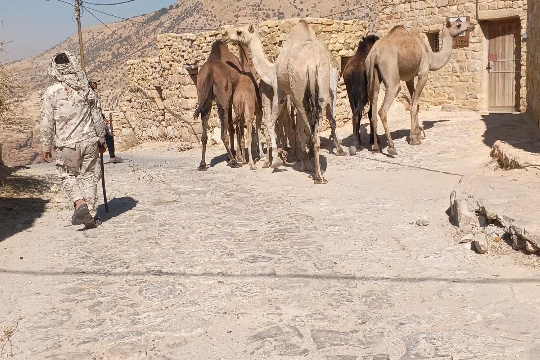 Photo of Others in Dana