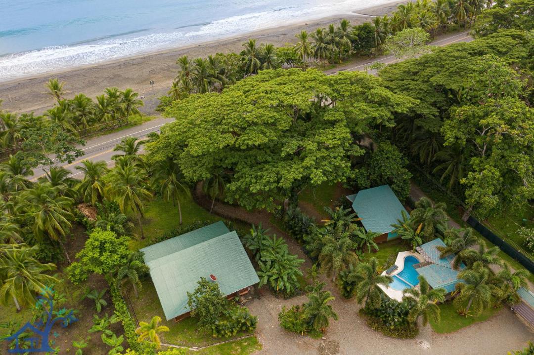 Photo of Others in Puerto Viejo de Talamanca