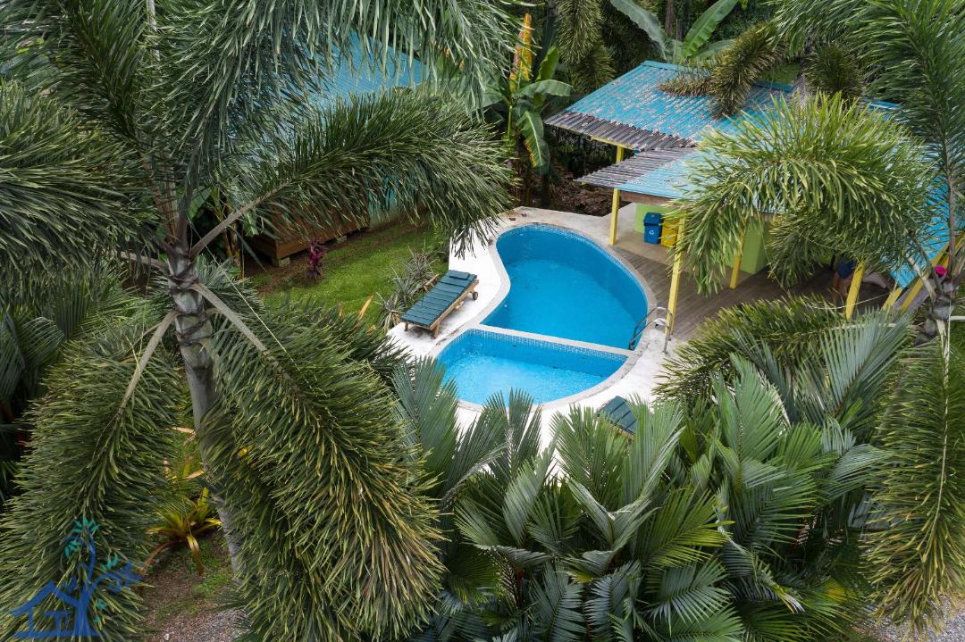 Photo of Others in Puerto Viejo de Talamanca