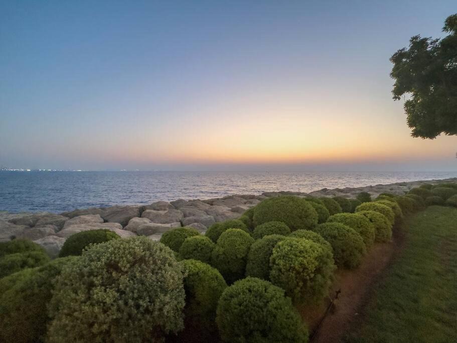 Photo of Others in Dubai