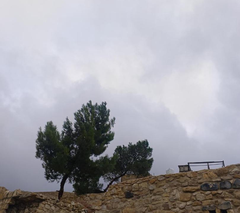 Photo of Others in Dana