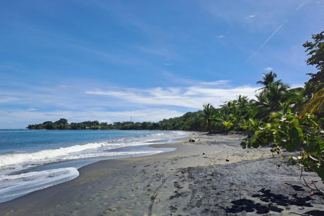 Photo of Others in Puerto Viejo de Talamanca