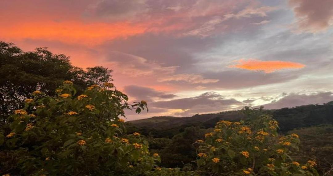 Photo of Others in Monteverde