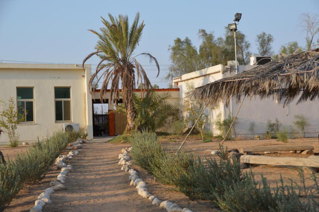 Photo of Others in Hatseva