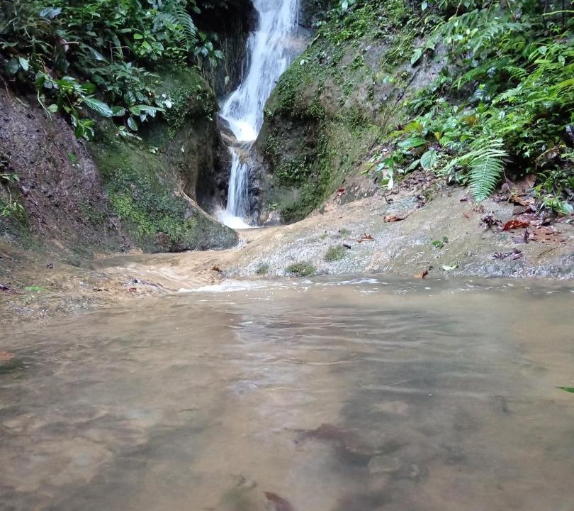 Photo of Others in Quebrada La Gamba