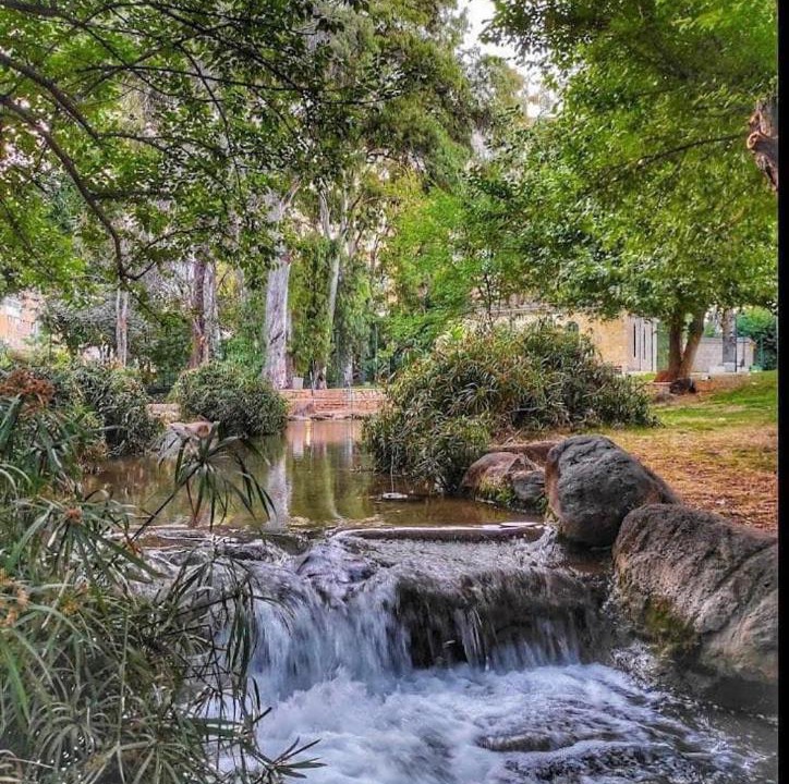 Photo of Others in Qiryat Shemona