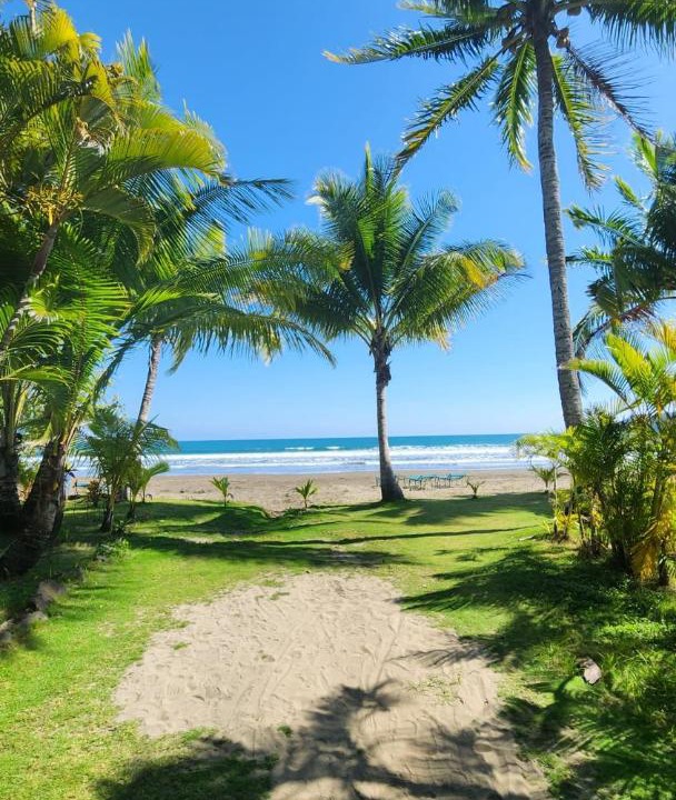 Photo of Others in Tambor