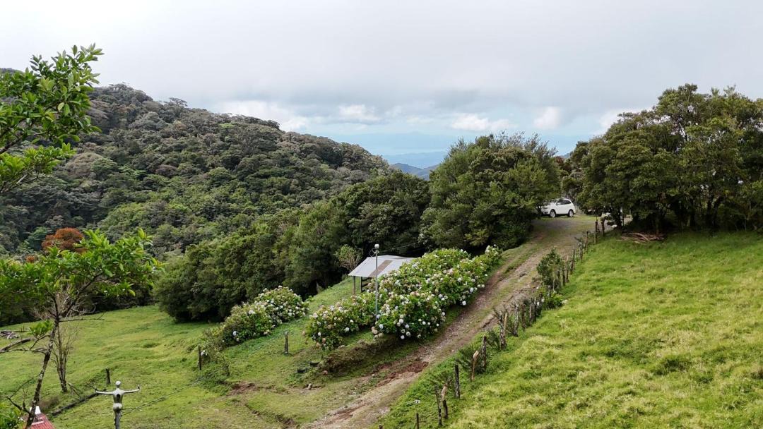 Photo of Others in Quebrada Grande