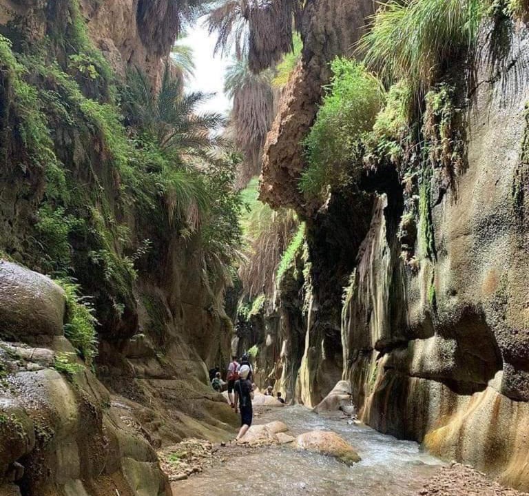 Photo of Others in Dana