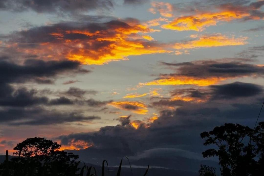 Photo of Others in Santa Cruz de Turrialba