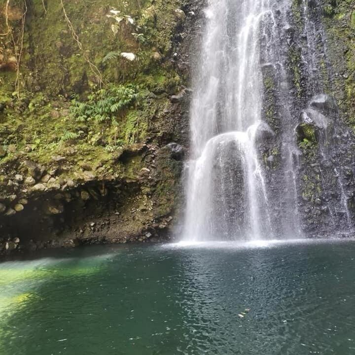 Photo of Others in Santa Cruz de Turrialba