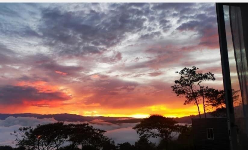 Photo of Others in Santa Cruz de Turrialba