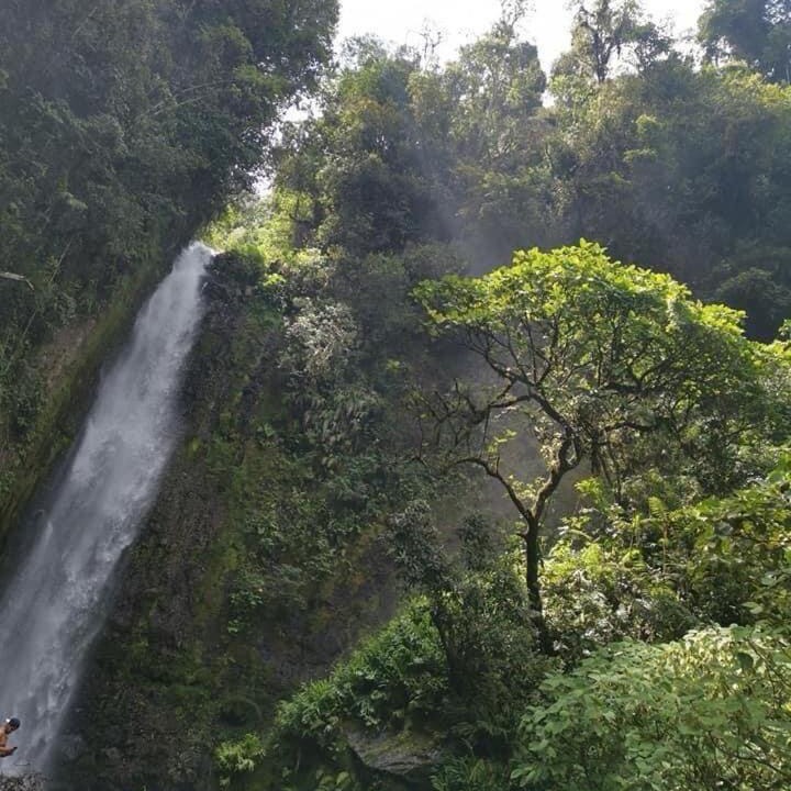 Photo of Others in Santa Cruz de Turrialba