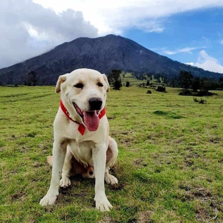 Photo of Others in Santa Cruz de Turrialba