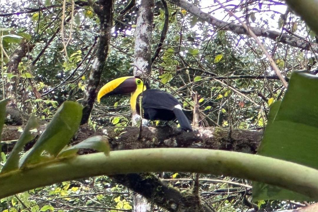 Photo of Others in Quebrada La Gamba