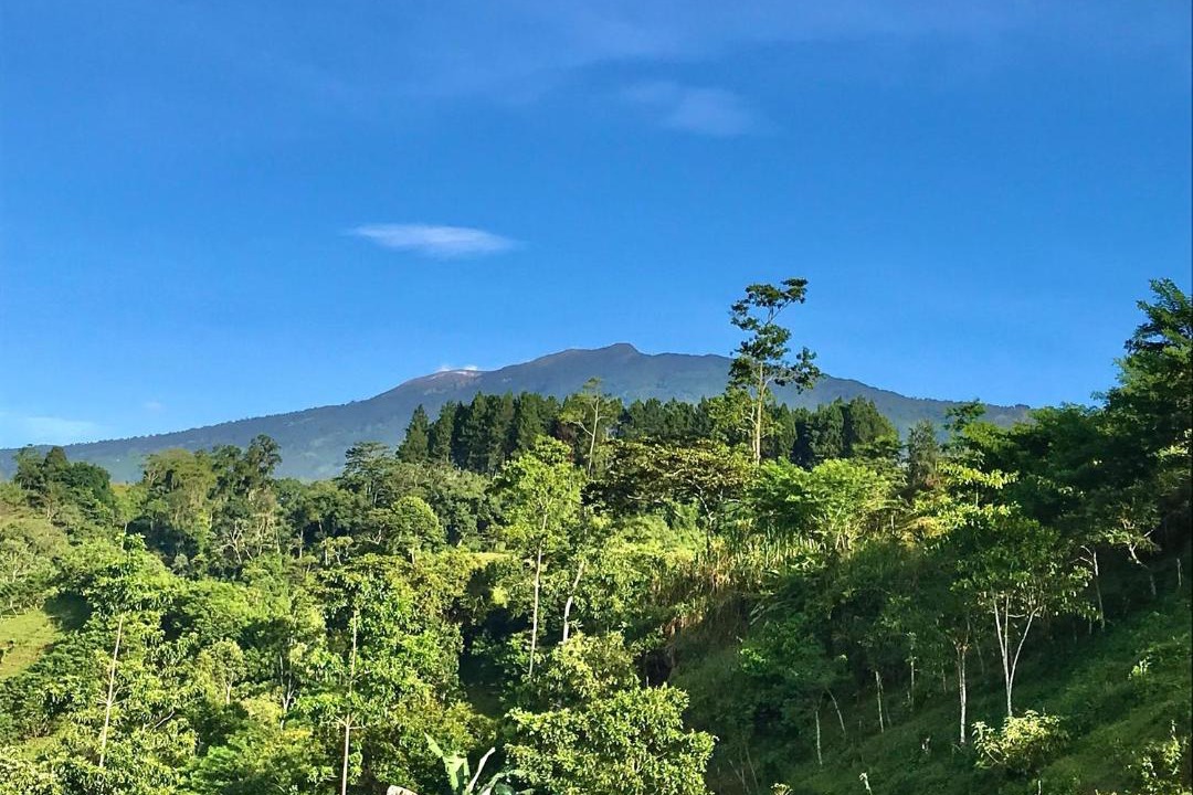 Photo of Others in Pacuare Reserve