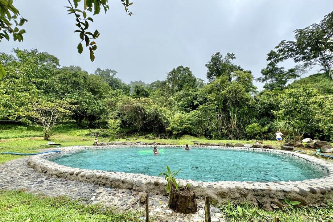 Photo of Others in Pacuare Reserve