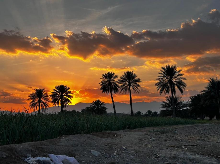Photo of Others in Al Hamra