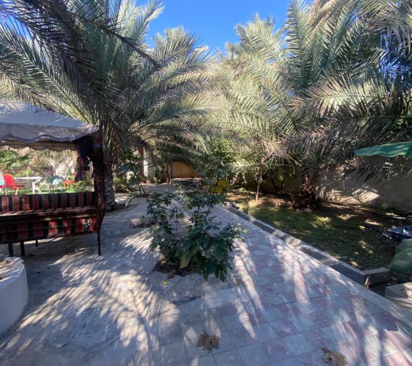 Photo of Others in Al Hamra