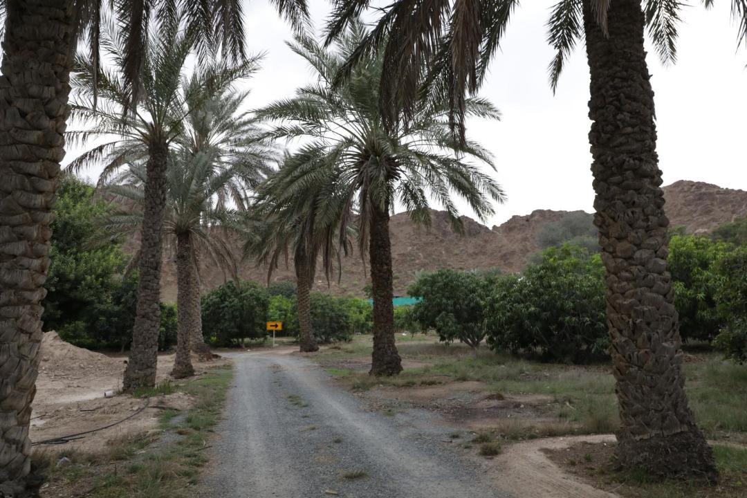 Photo of Others in Dadna