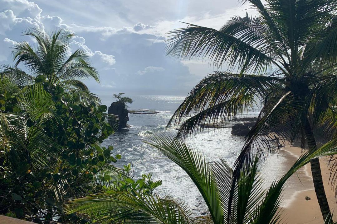 Photo of Others in Manzanillo
