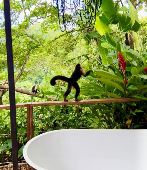 Photo of Others in Mal Pais