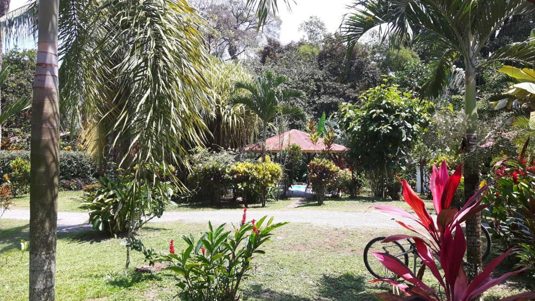 Photo of Others in Cahuita