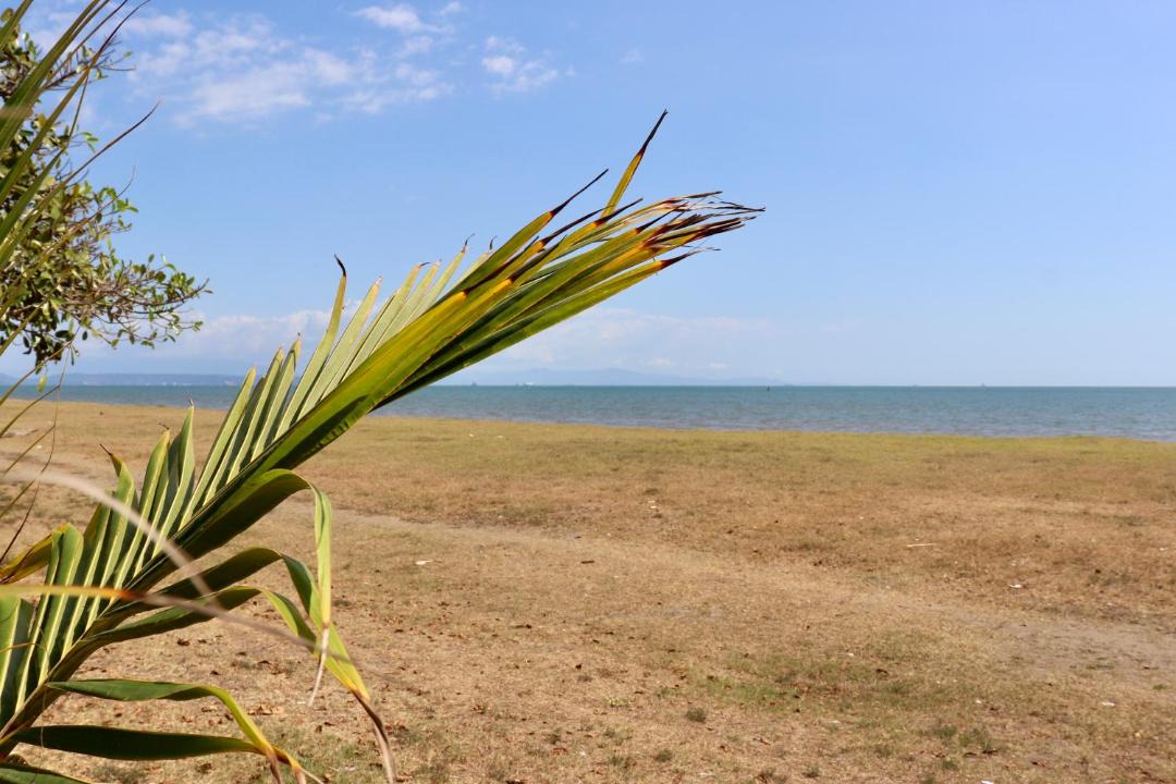 Photo of Others in Puntarenas