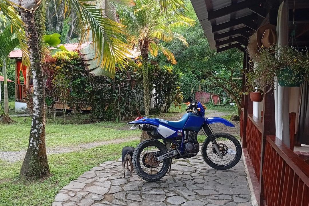 Photo of Others in Cahuita