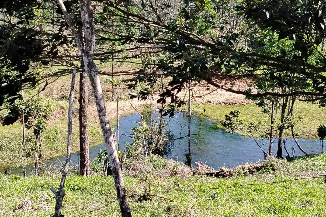 Photo of Others in Aguas Zarcas